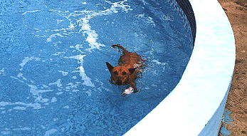 Amy swimming against the current